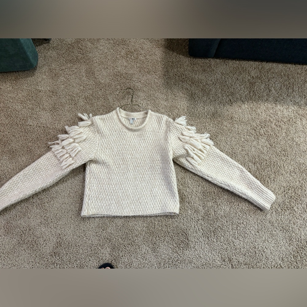 Amuse society fringe sleeve sweater